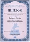 2016-2017 Гайнанов Ильдар (РО-англ.язык)